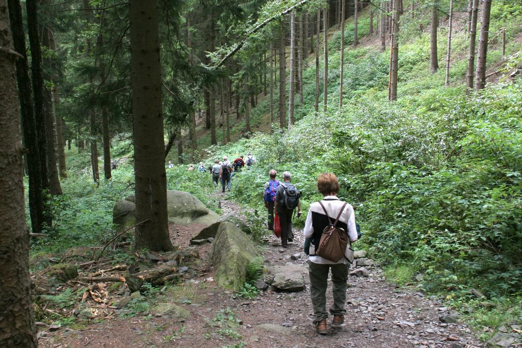 Fewo Amsbergstrasse Bad Harzburg Ruang foto